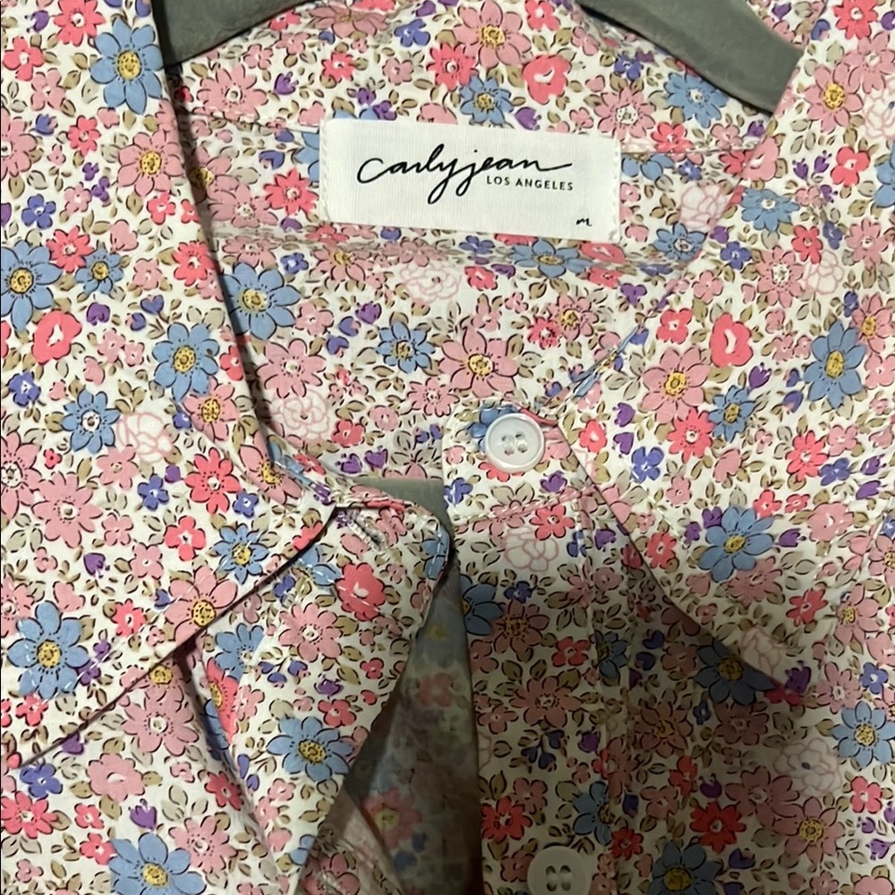 Carly Jean Button-Up Shirt Dress - Picture 3 of 5